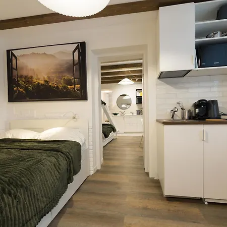 3 Min To Everything-stylish-modern-old Fortress Apartment Brasov