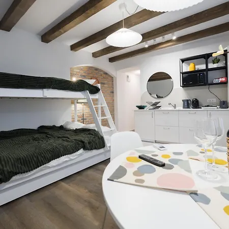 Apartment 3 Min To Everything-stylish-modern-old Fortress Brasov