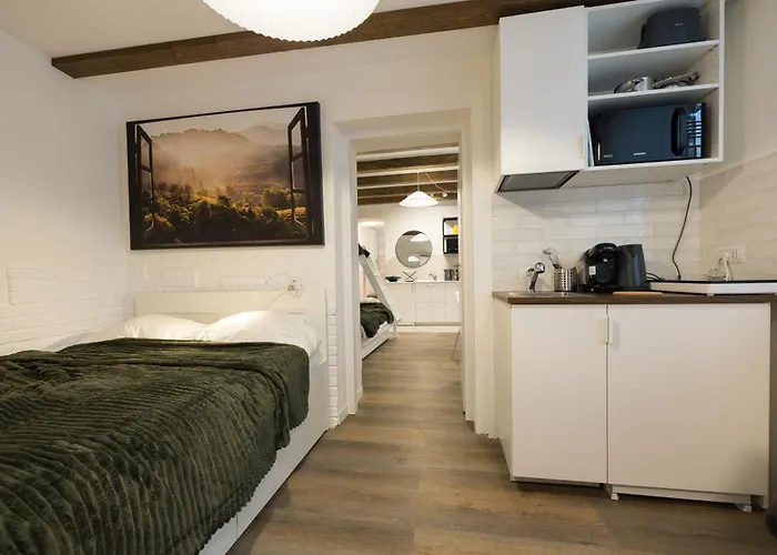 3 Min To Everything-stylish-modern-old Fortress アパート ブラショフ