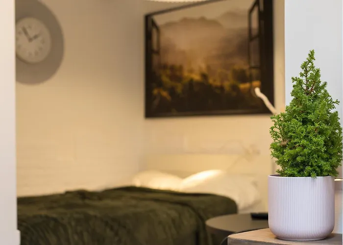 Apartment 3 Min To Everything-stylish-modern-old Fortress Brasov